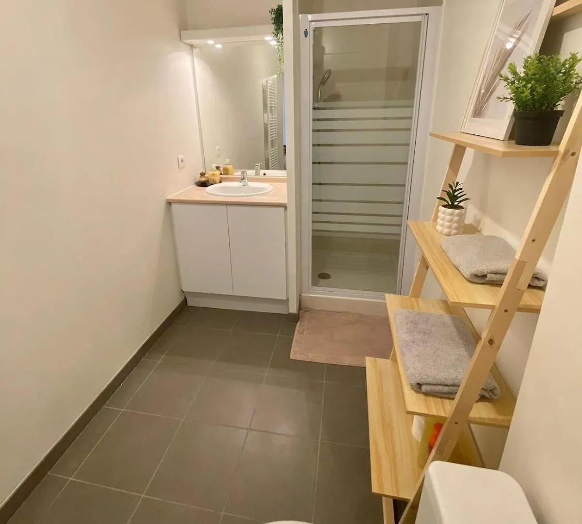 Appartement T1 Colomiers Proche Airbus Apartmán
